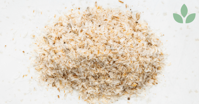 psyllium