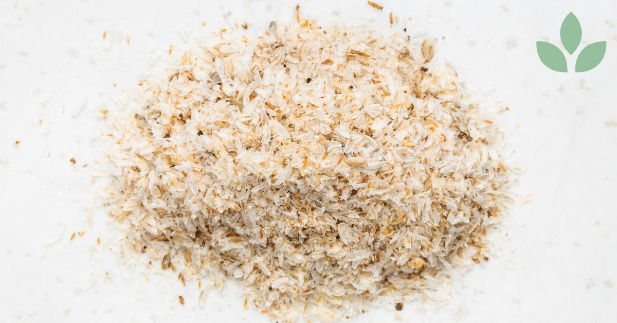 psyllium