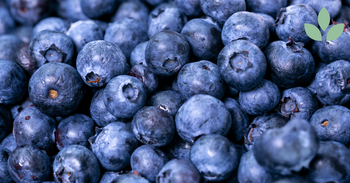 mustikka terveysvaikutukset