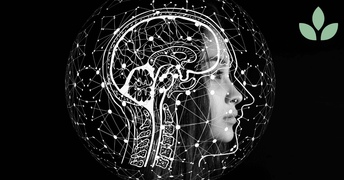 aivojen terveys ja muisti