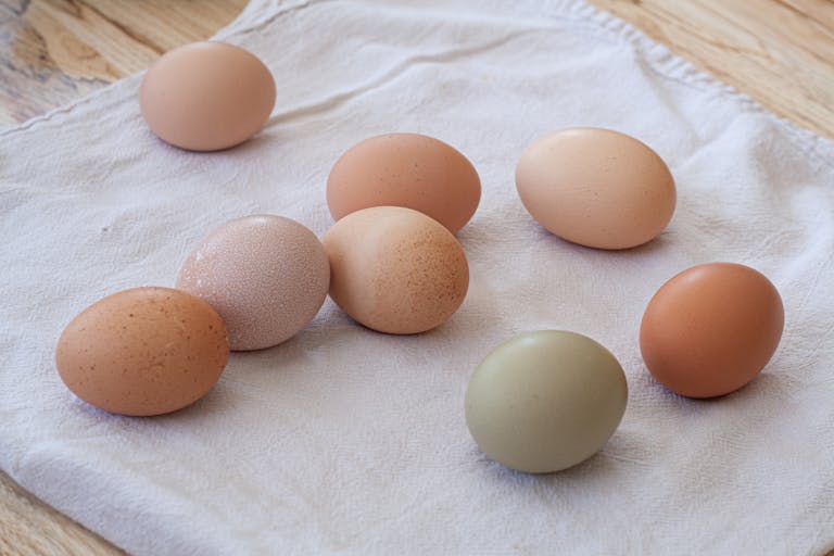 onko kananmuna terveellistä